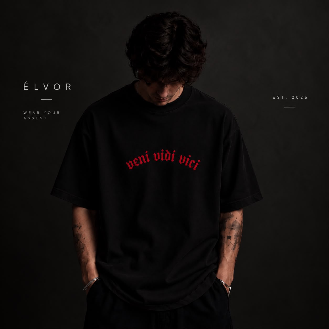Veni Vidi Vici Oversized Tee